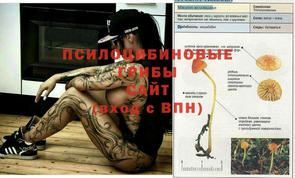 альфа пвп Алексеевка