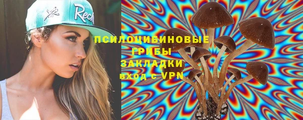 мяу мяу мука Вязьма