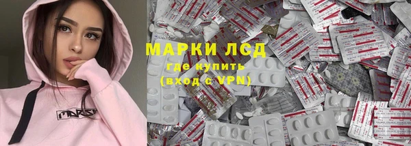 спайс Ельня