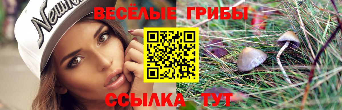 Псилоцибиновые грибы GOLDEN TEACHER  Вход с VPN  Галлюциногенные грибы GOLDEN TEACHER  где продают   Балашов 